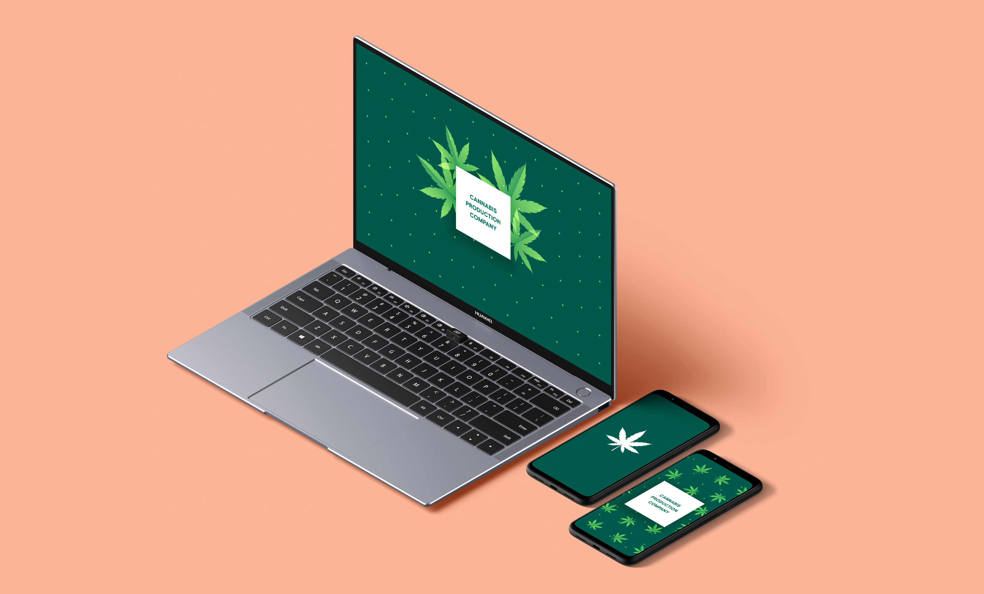 Cannabis production company - About - Image 1